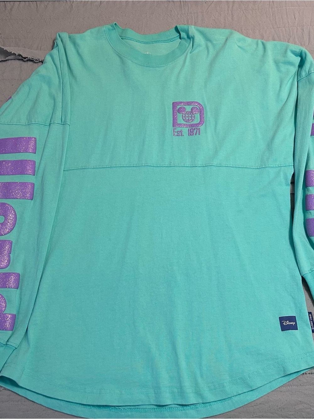Disney World spirit jersey size small